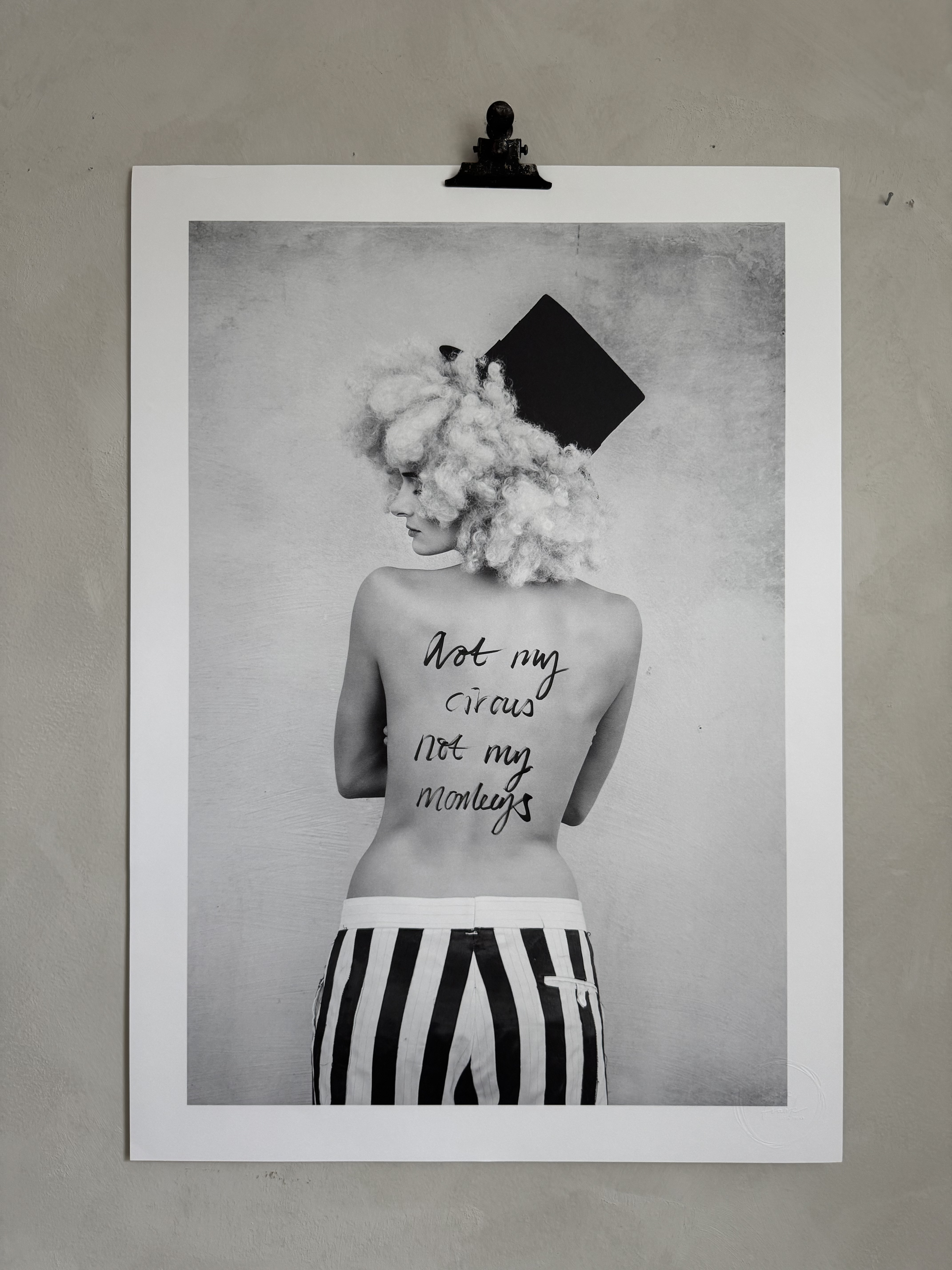 Not my Monkeys  50x70 