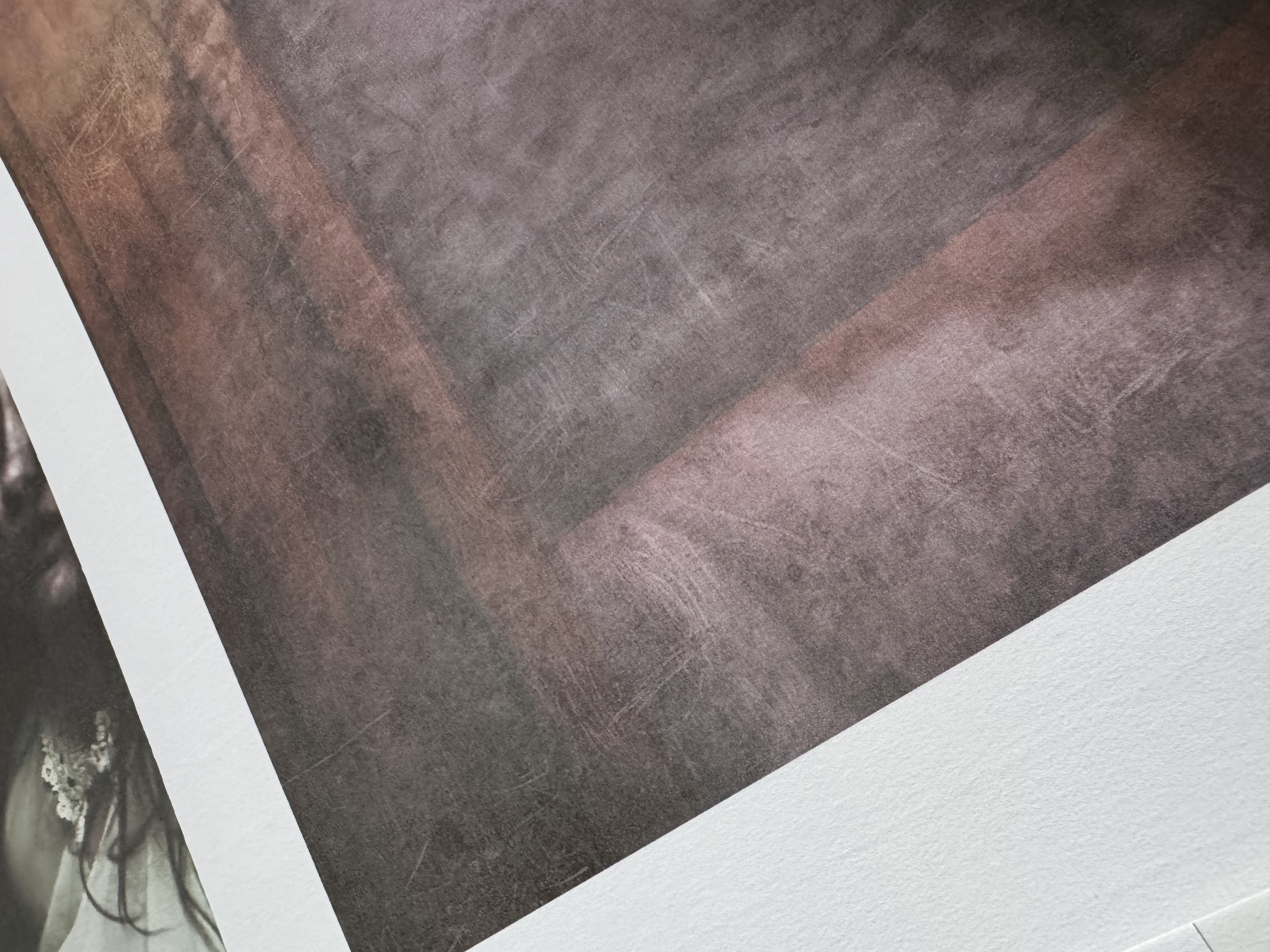 Utställningsexemplar från Ghosts  50x70  Lady in pink