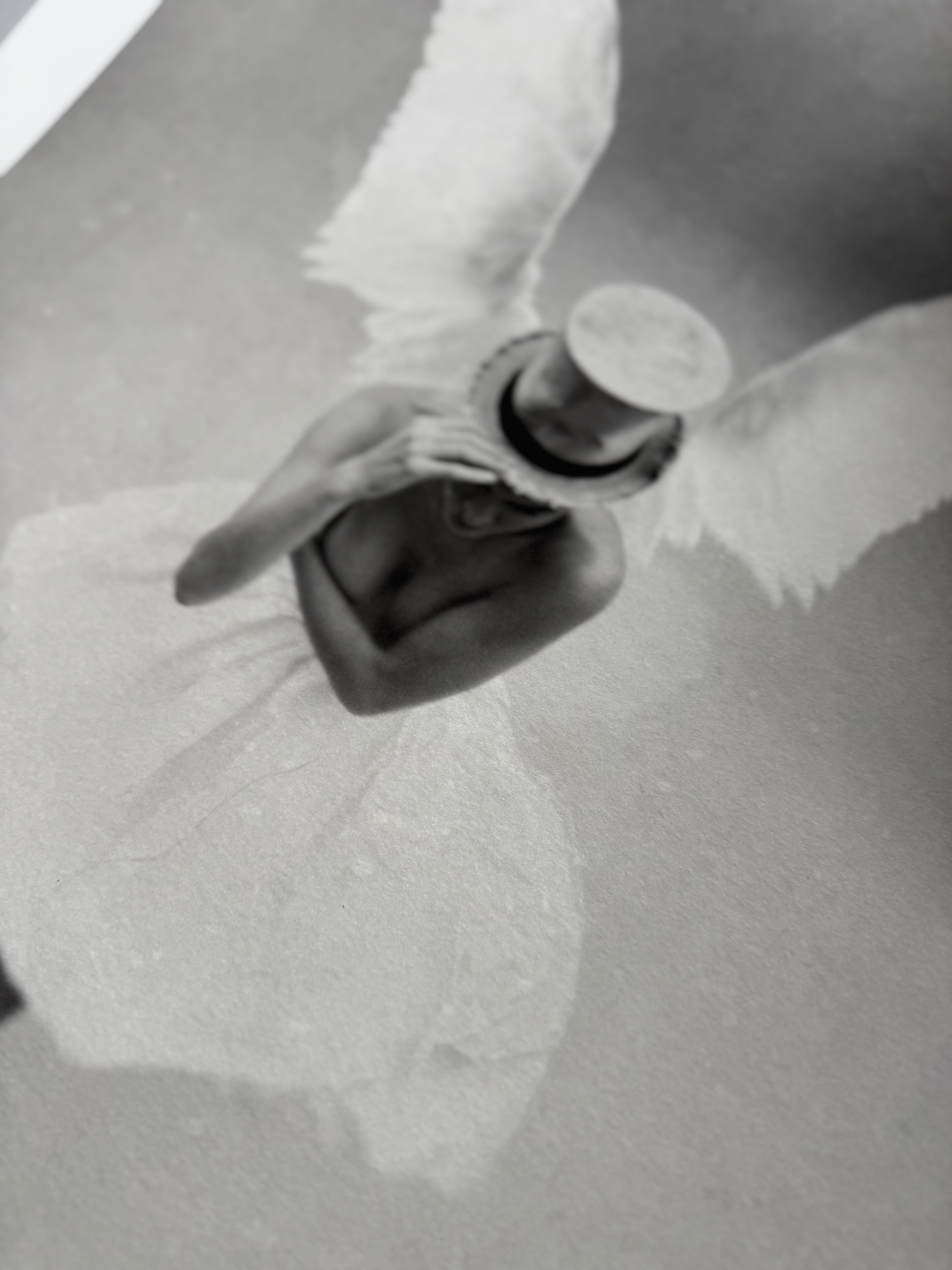 Grace 50x70 - 2:a hands sortering, feltryck 