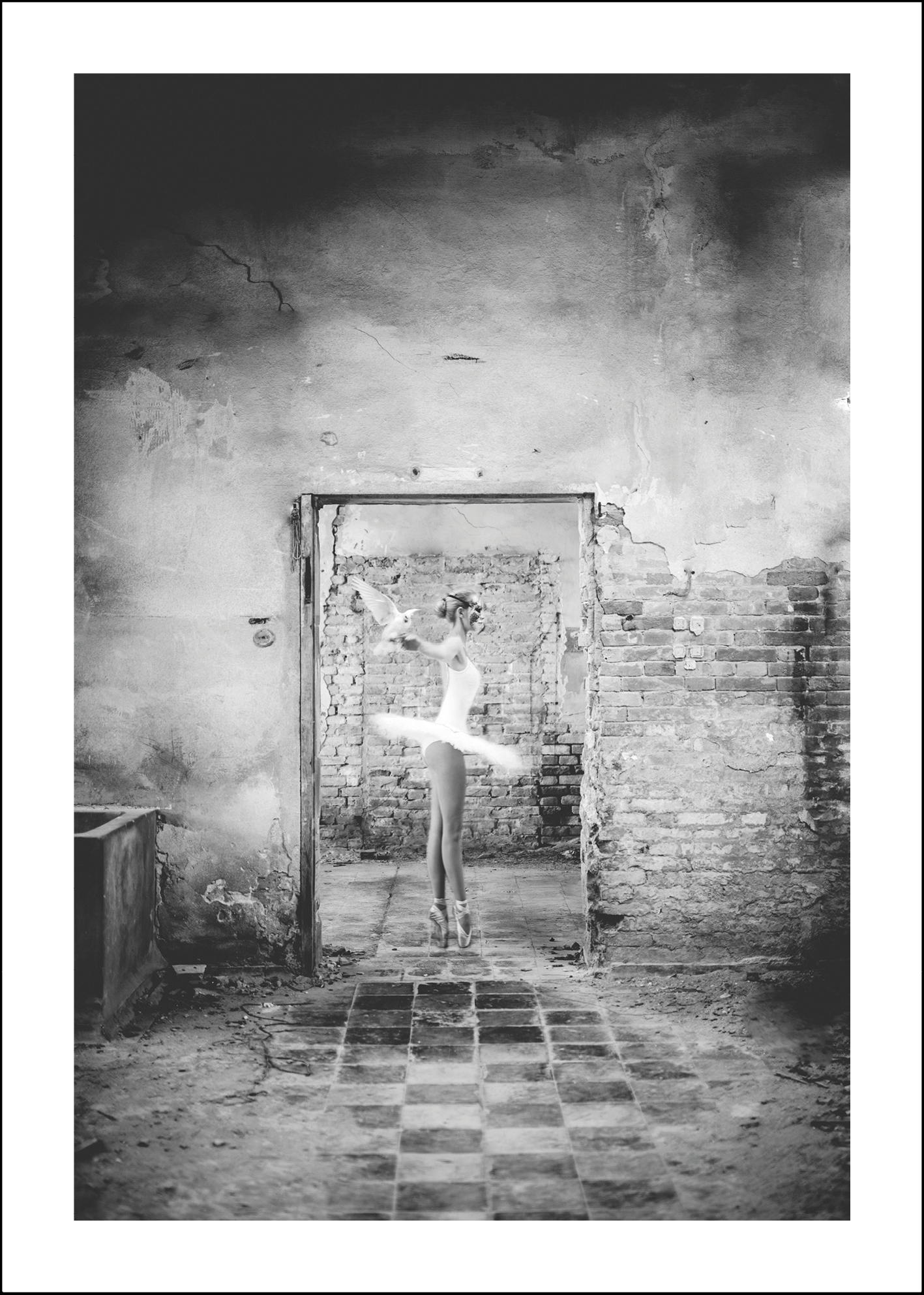 Dante 50x70 - 2:a hands sortering, utställningsexemplar el med mindre skönhetsfel. 