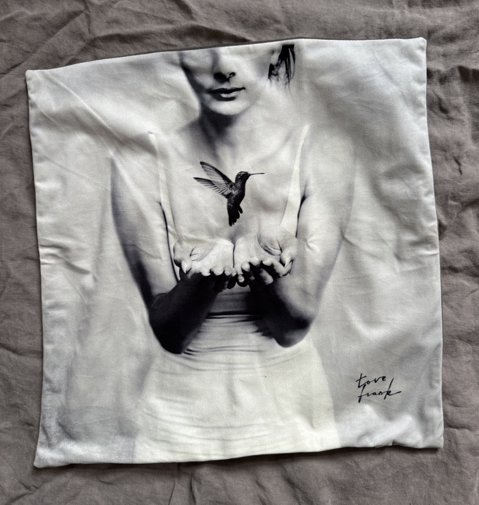 Kuddfodral visningsex Nyskick 50x50 Aya