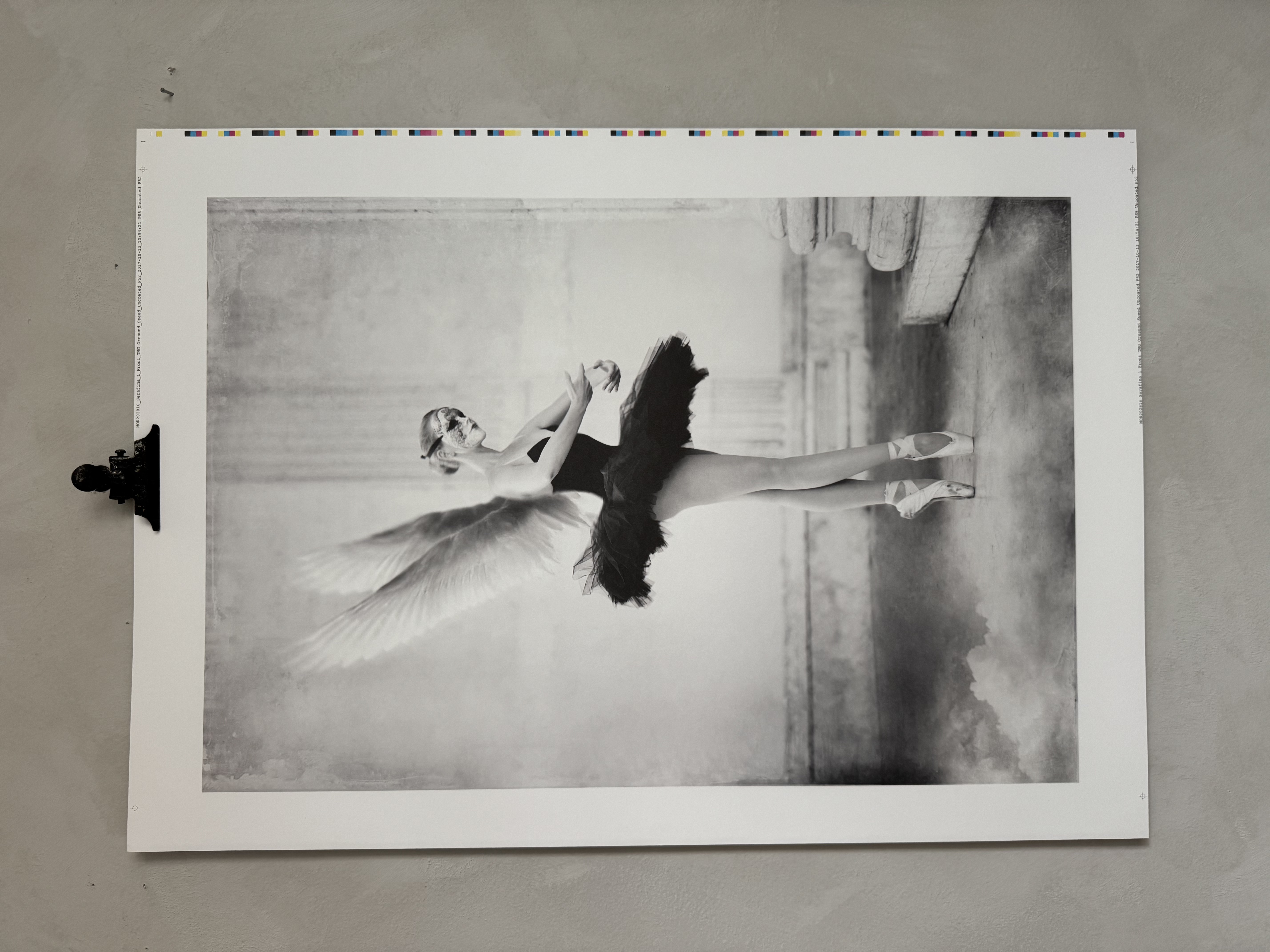 Unikt provtrycks ex med markering Serfina ca  50x70  