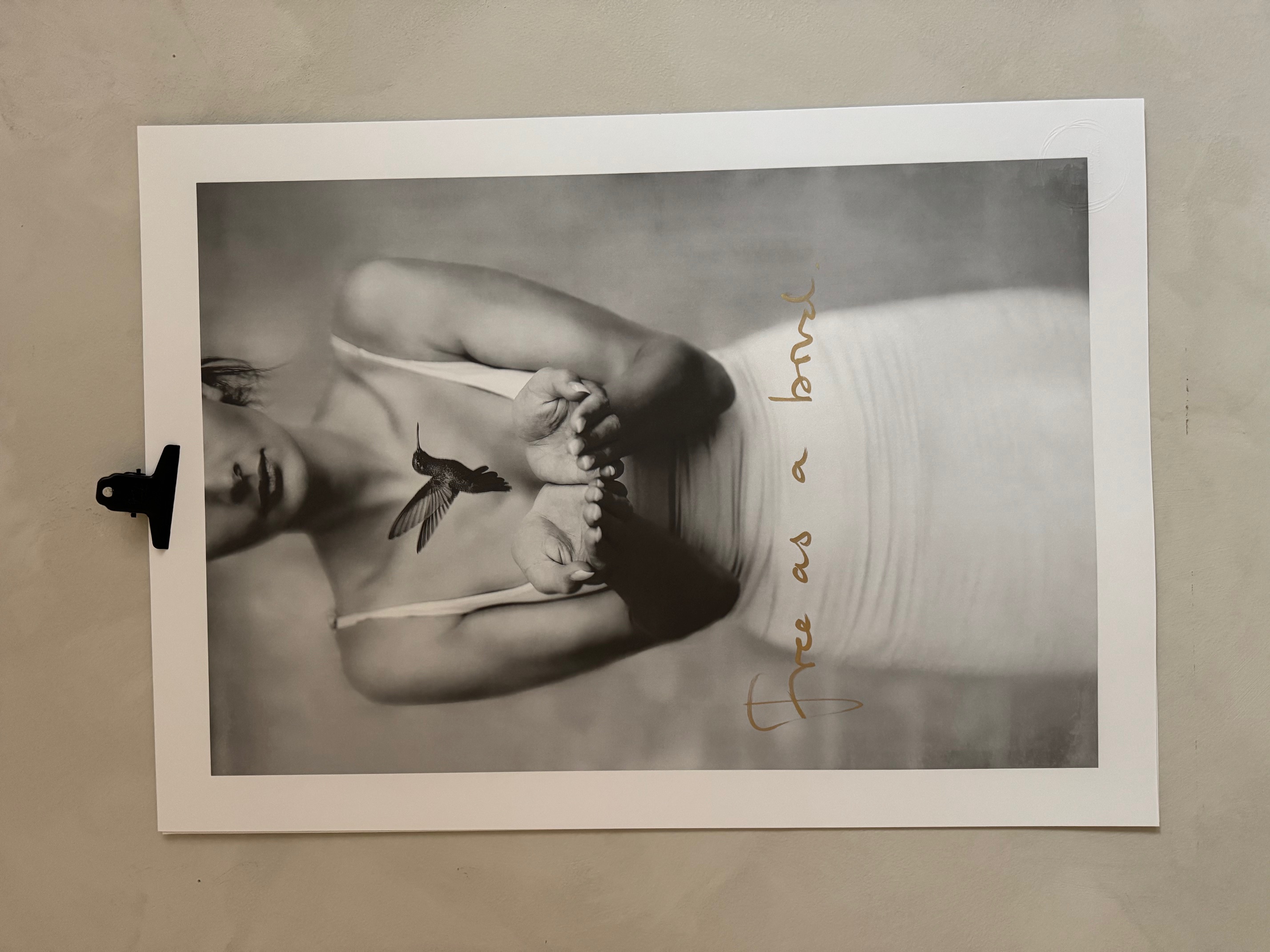 Free as a bird - med målat guld  50x70 