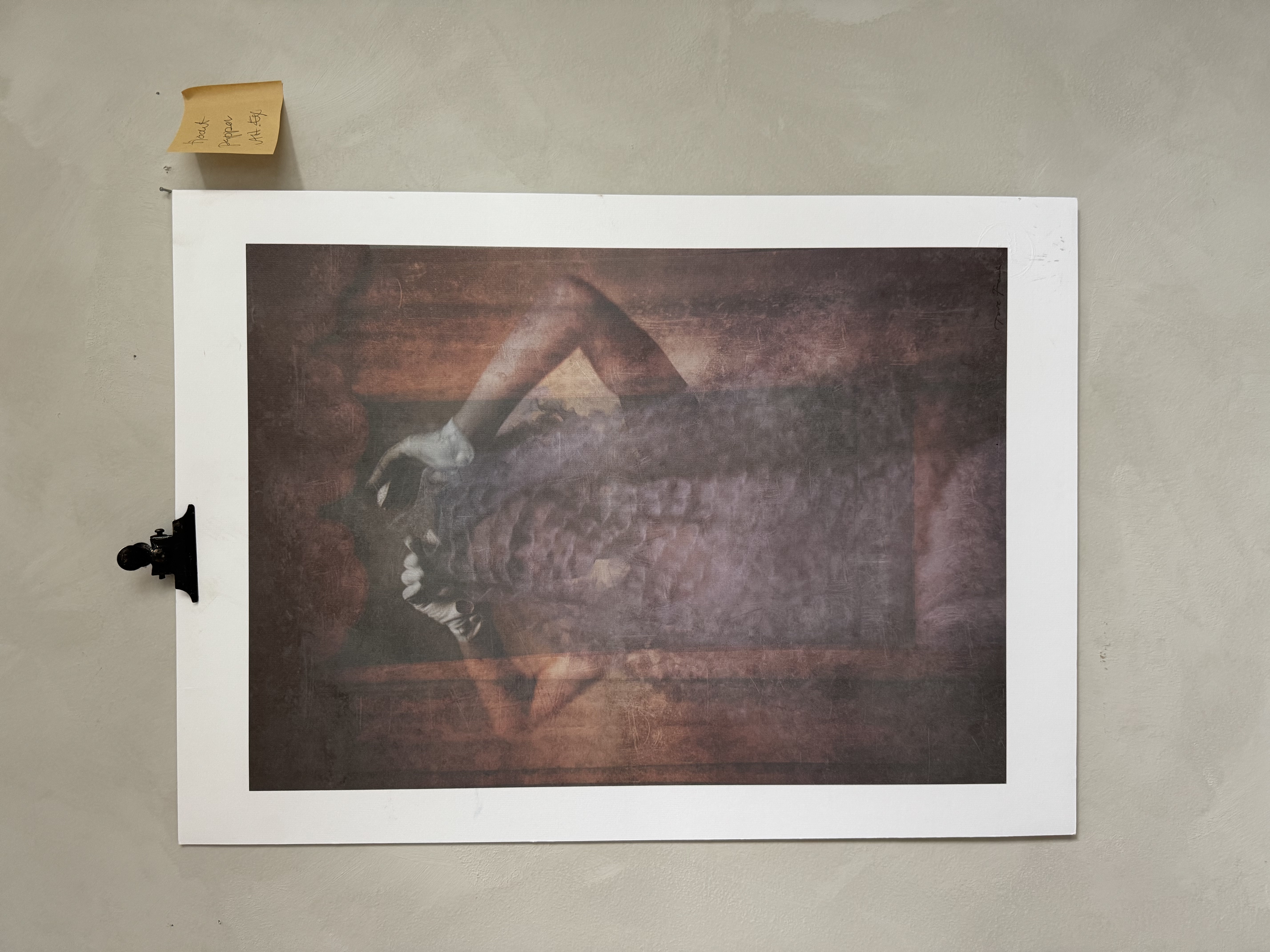 Utställningsexemplar från Ghosts  50x70  Lady in pink