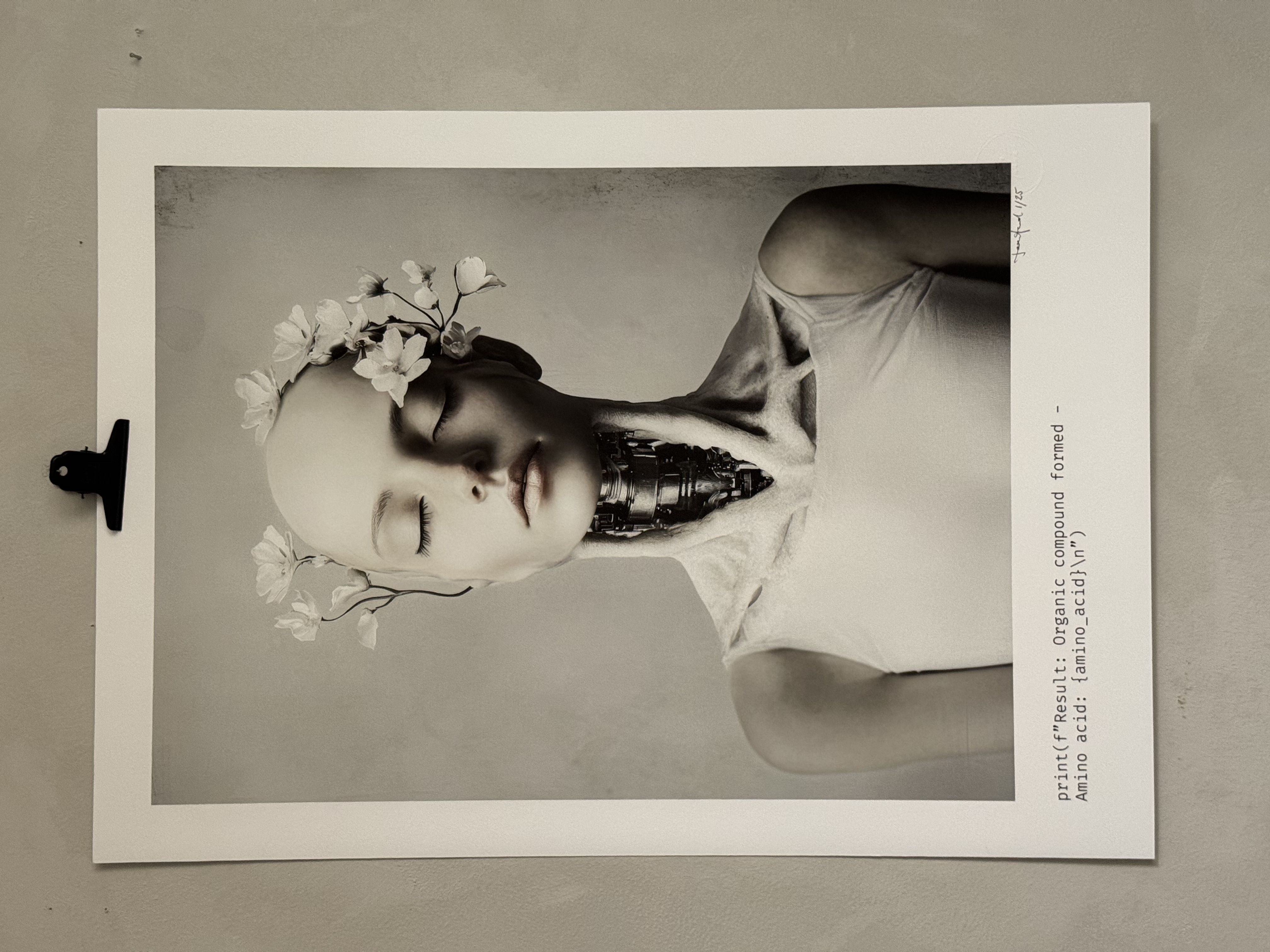 Provtryck för utställning  50x70  med liten skada