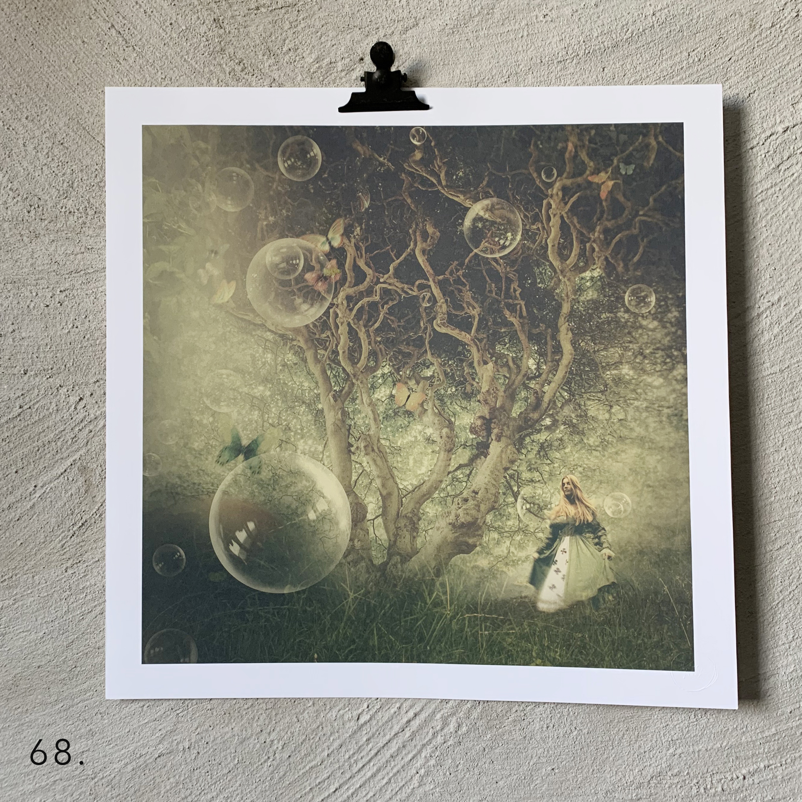 Butterfly Tree 50x50 cm print med mindre skönhetsfel. 2:a handssortering