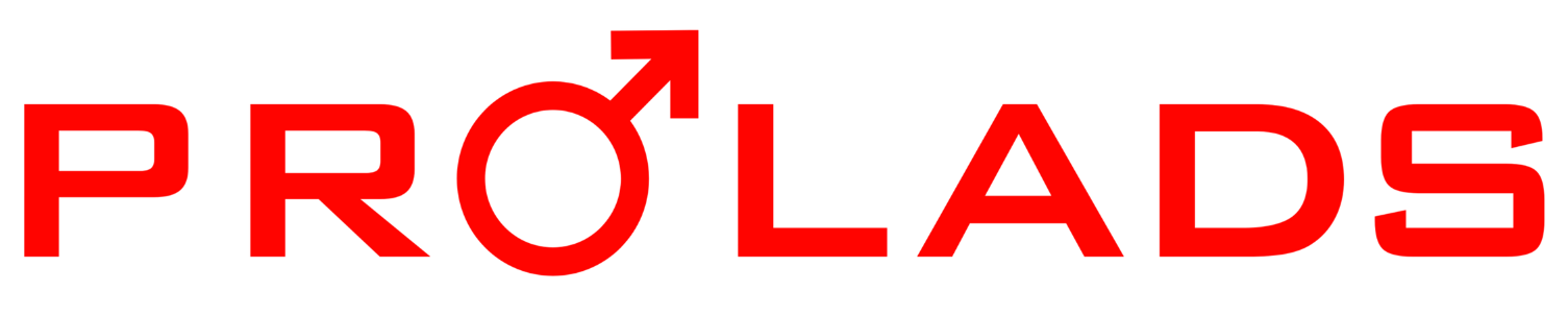 ProLads Japanese-style Red Moon Wall Dragon T-Shirt