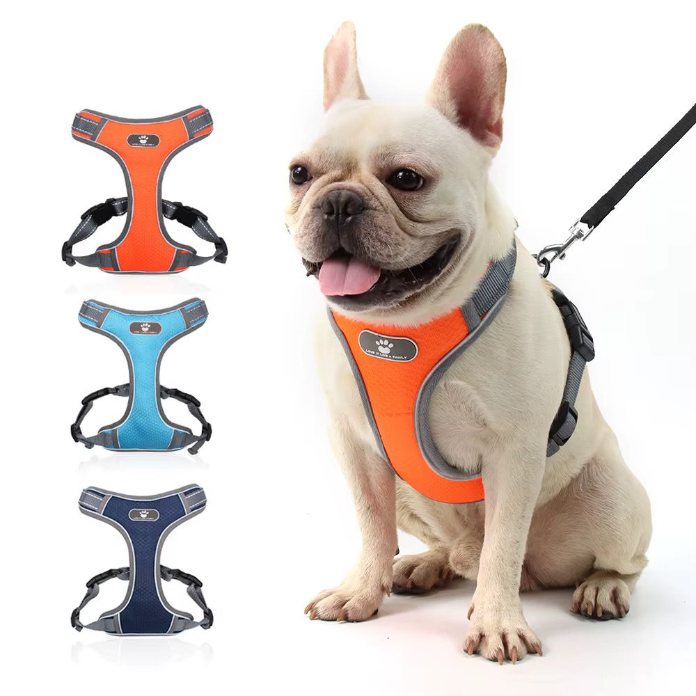Adjustable Dog Harness