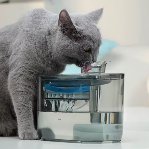 Automatic Cat Water Fountain