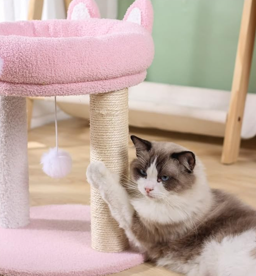 Pink Cat Scratching Post with Cozy Bed