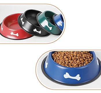 Colorful Dog Food Bowls