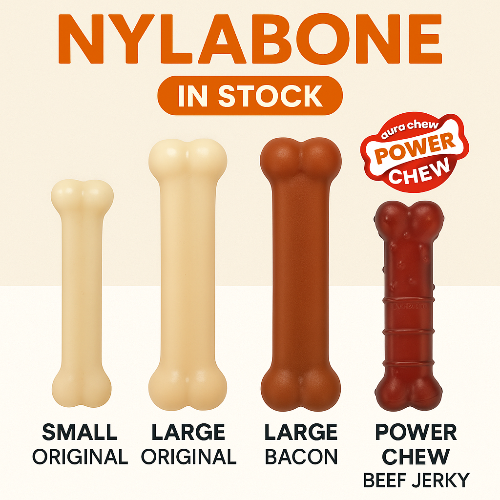 Nylabone Power Chew Beef Jerky