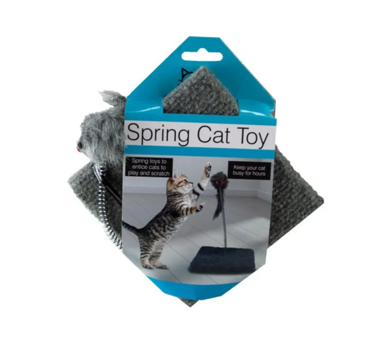 Spring Cat Toy