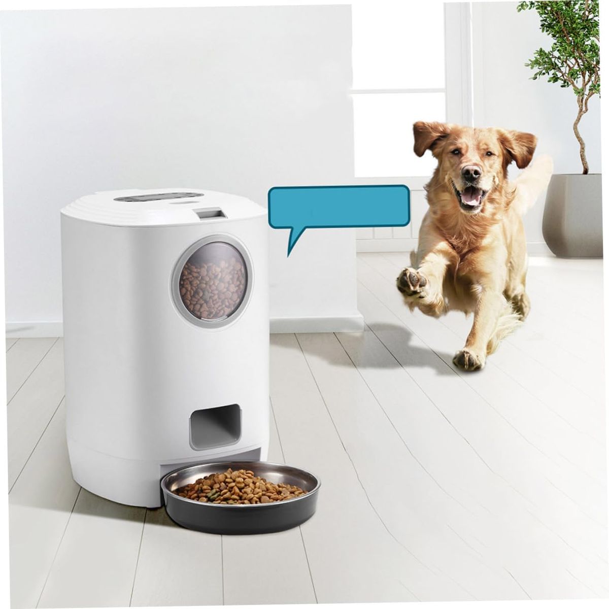 Automatic Dog Feeder