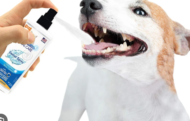 Pet Dental Care Spray