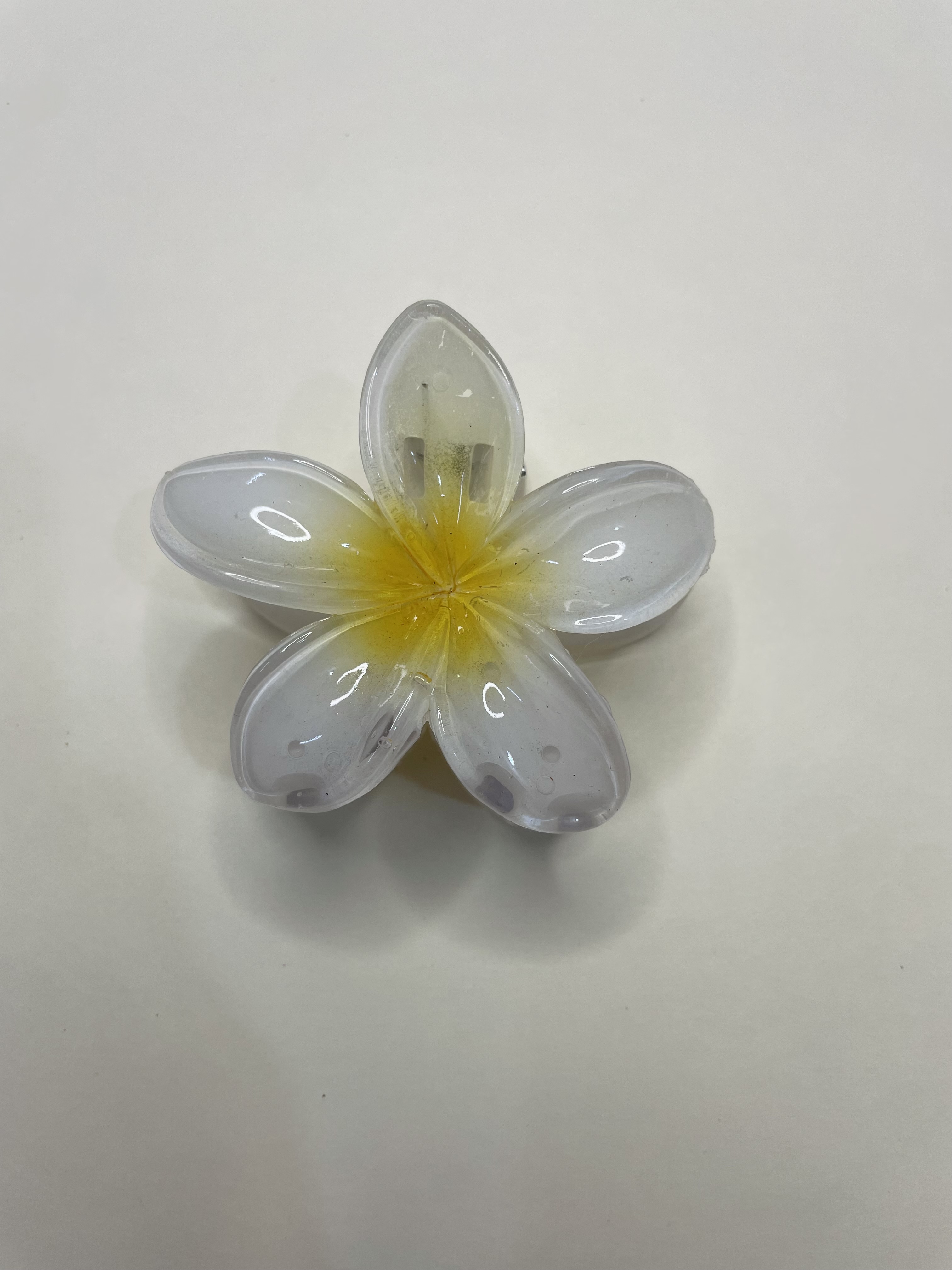 DAISY CLAWS -  GLOSSY MAXI