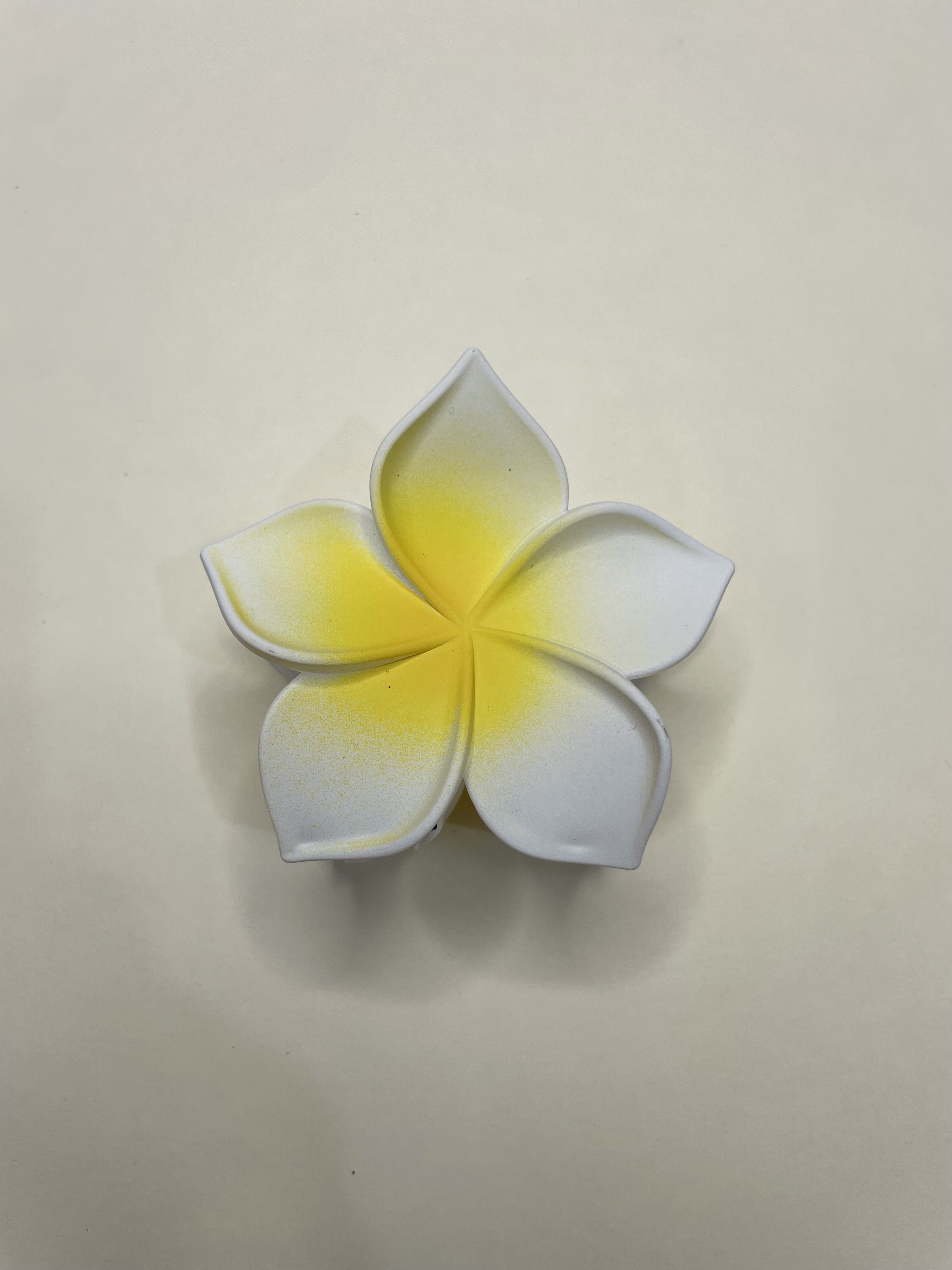 MATTE DUAL - DAISY FLOWERS 