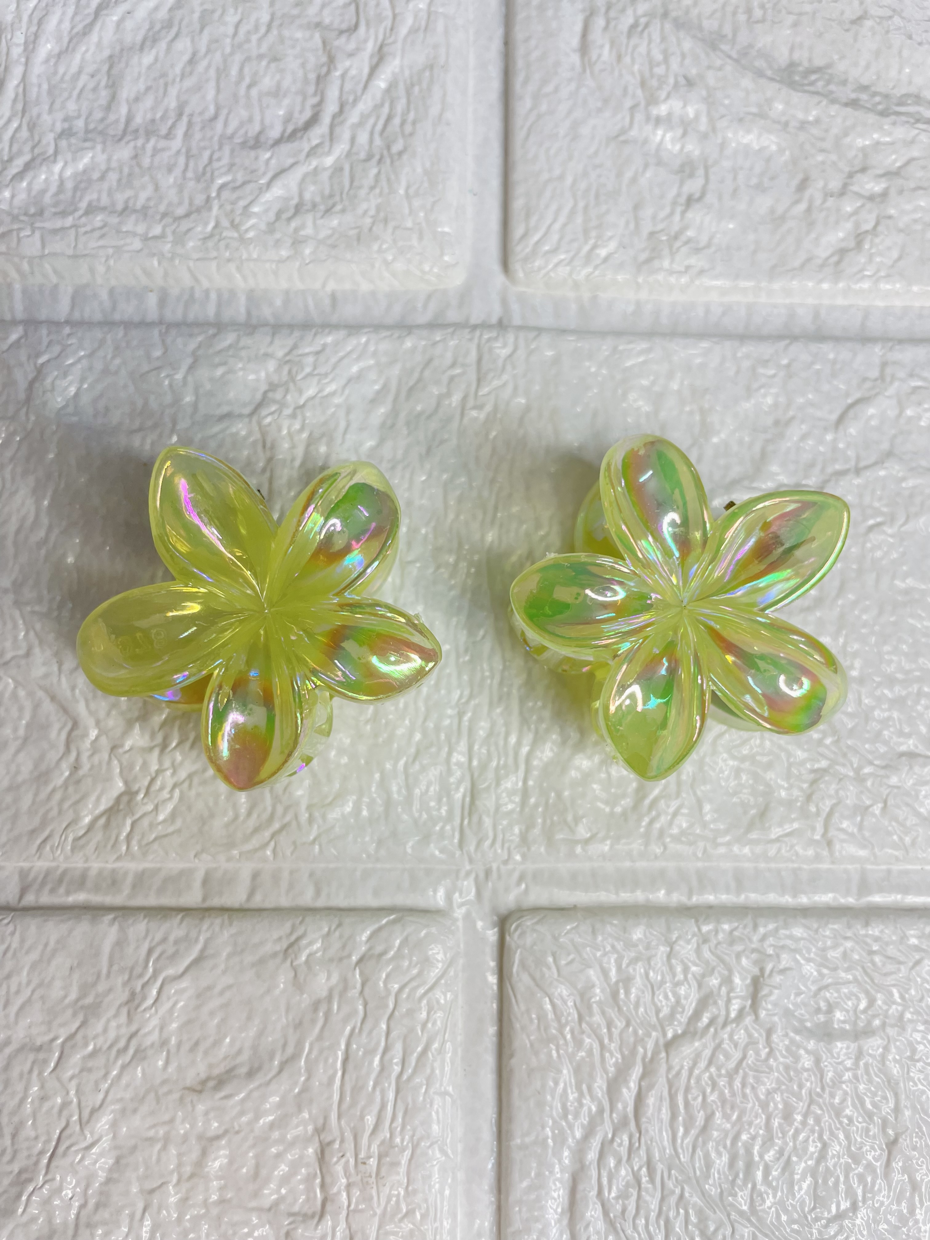 DAISY FLOWERS -SHIMMER GLOSSY 