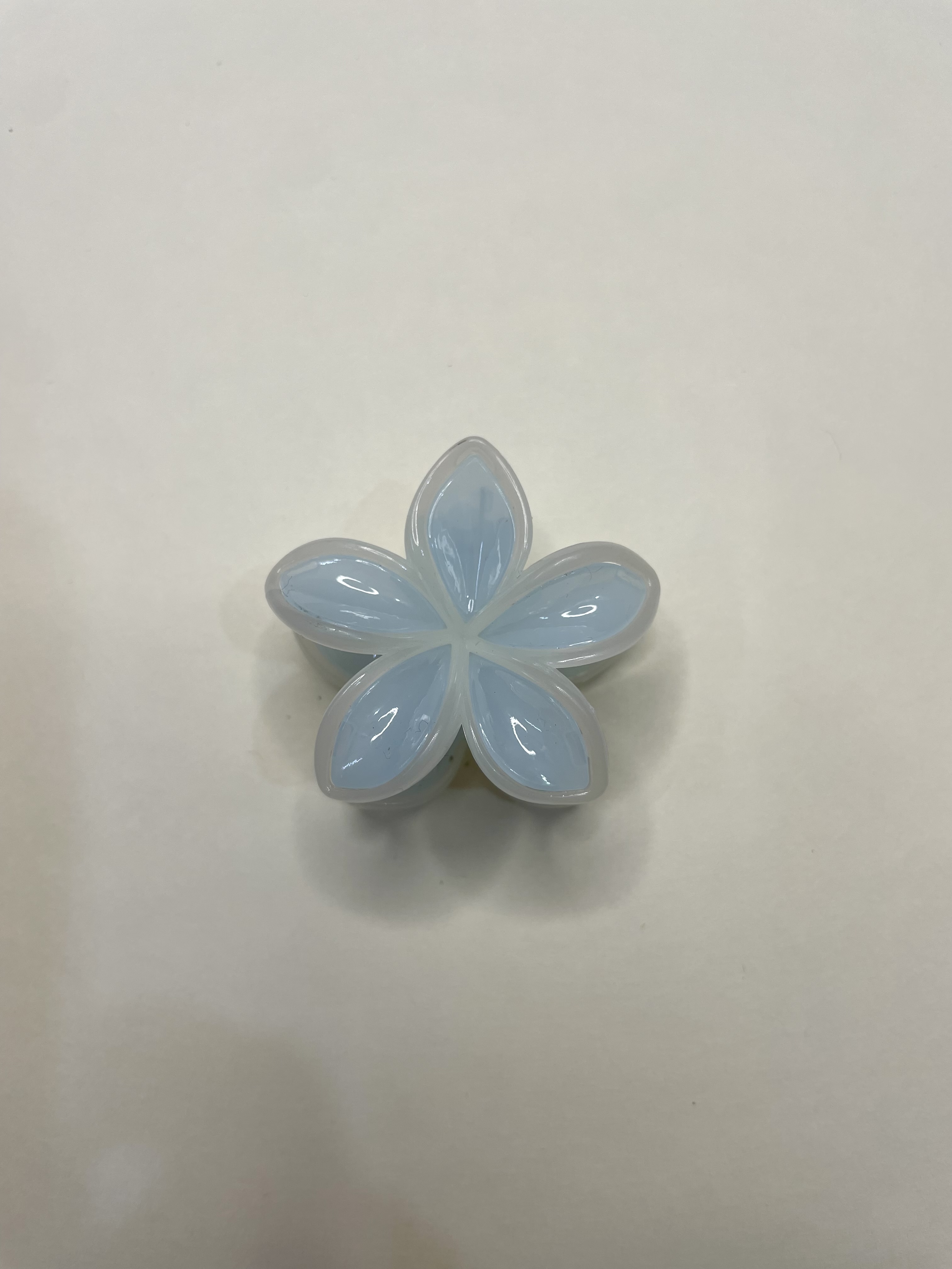 PASTEL GLOW -DAISY FLOWERS 