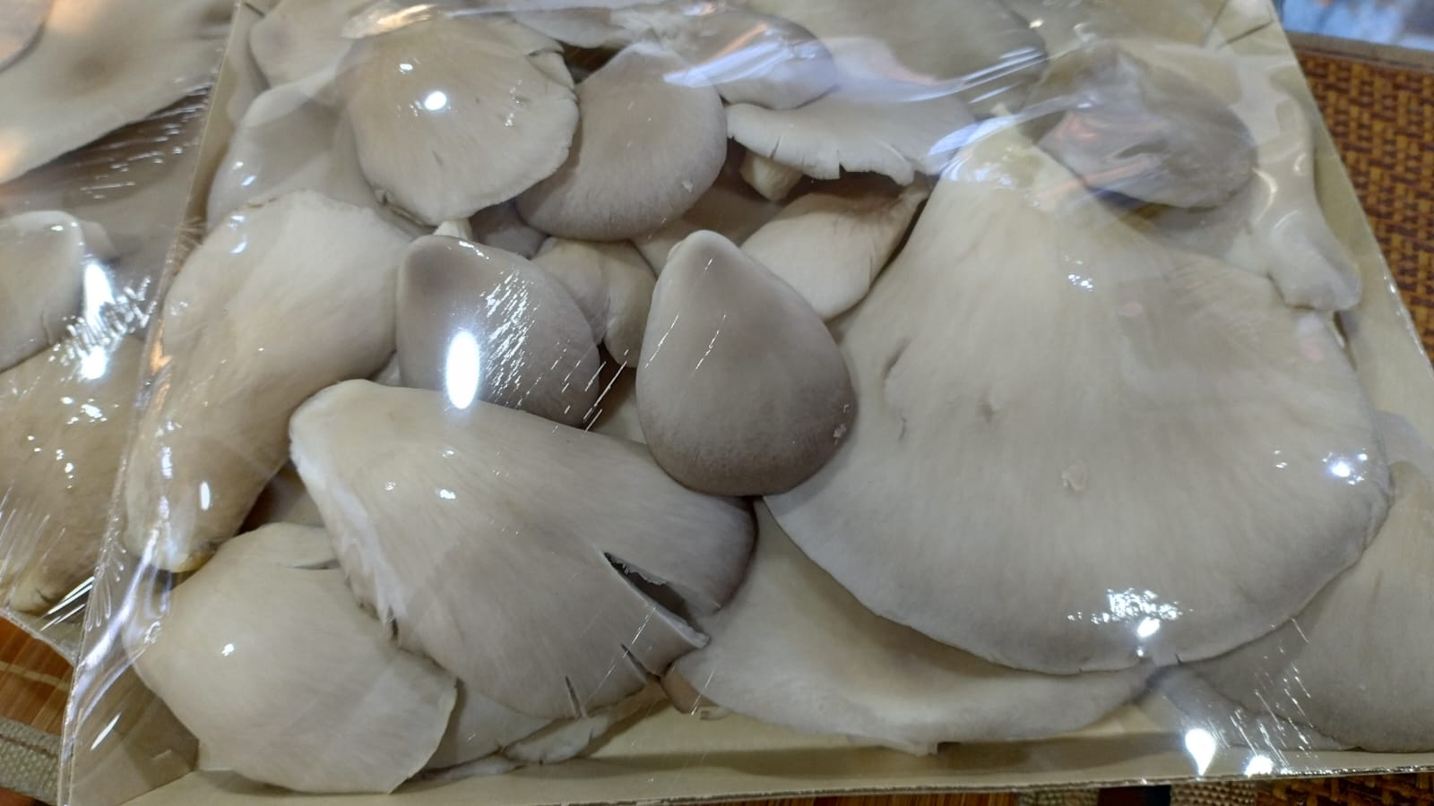 Bandeja Setas Orellana 500 gr