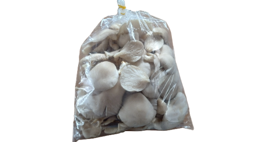 Bolsa 1 Kilo Setas Orellana