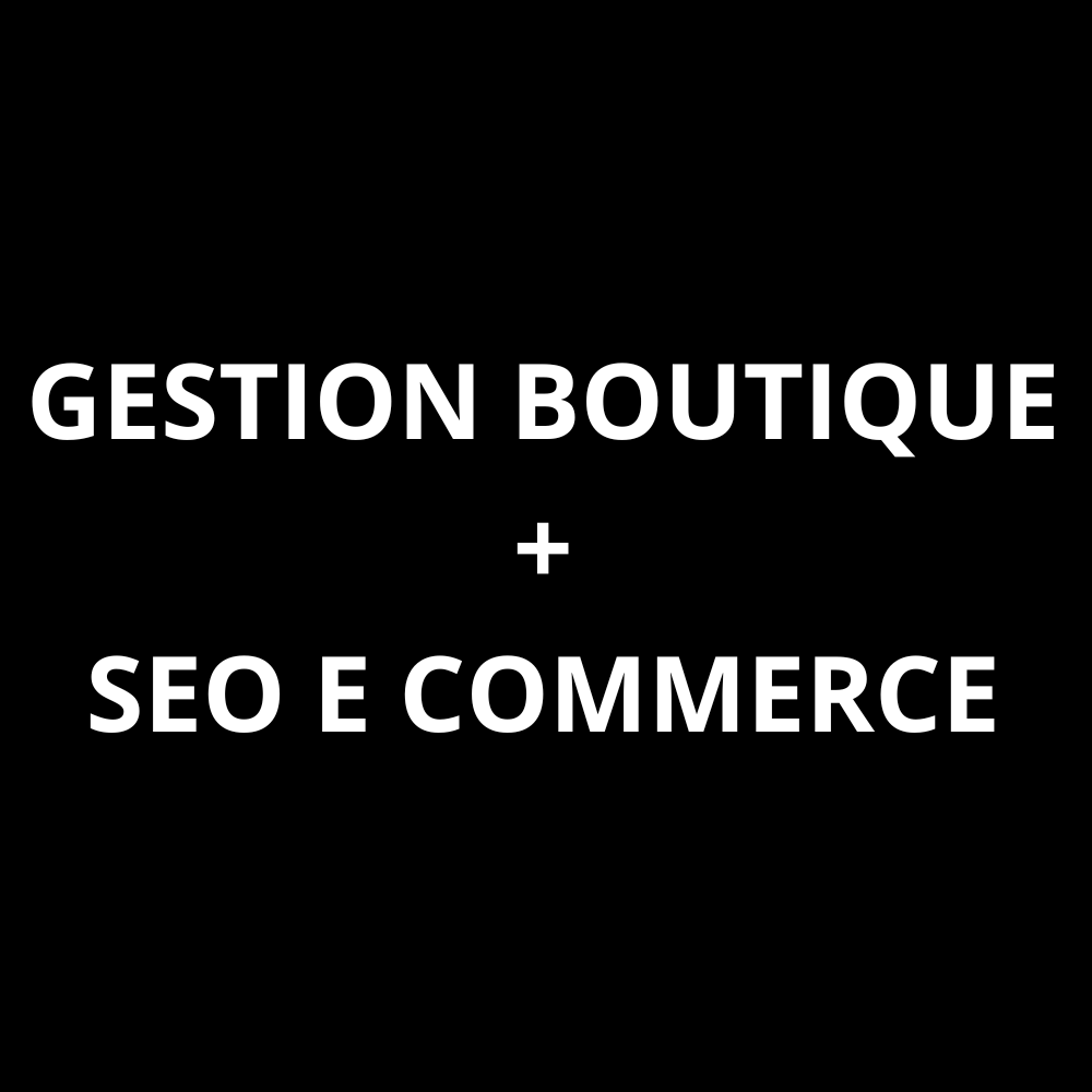 Référencement ecommerce + Gestion site web