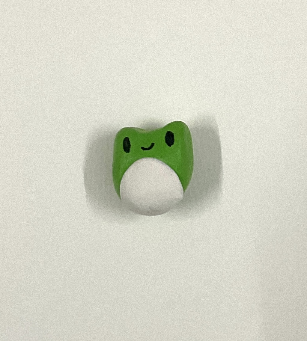 Frog Fridge Magnet