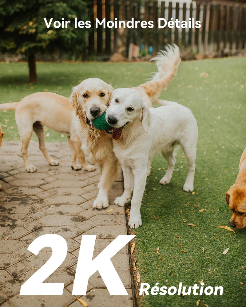 Imou Cell PT 4G – Cámara de Seguridad Móvil 2K con Conexión LTE y Cobertura 360°