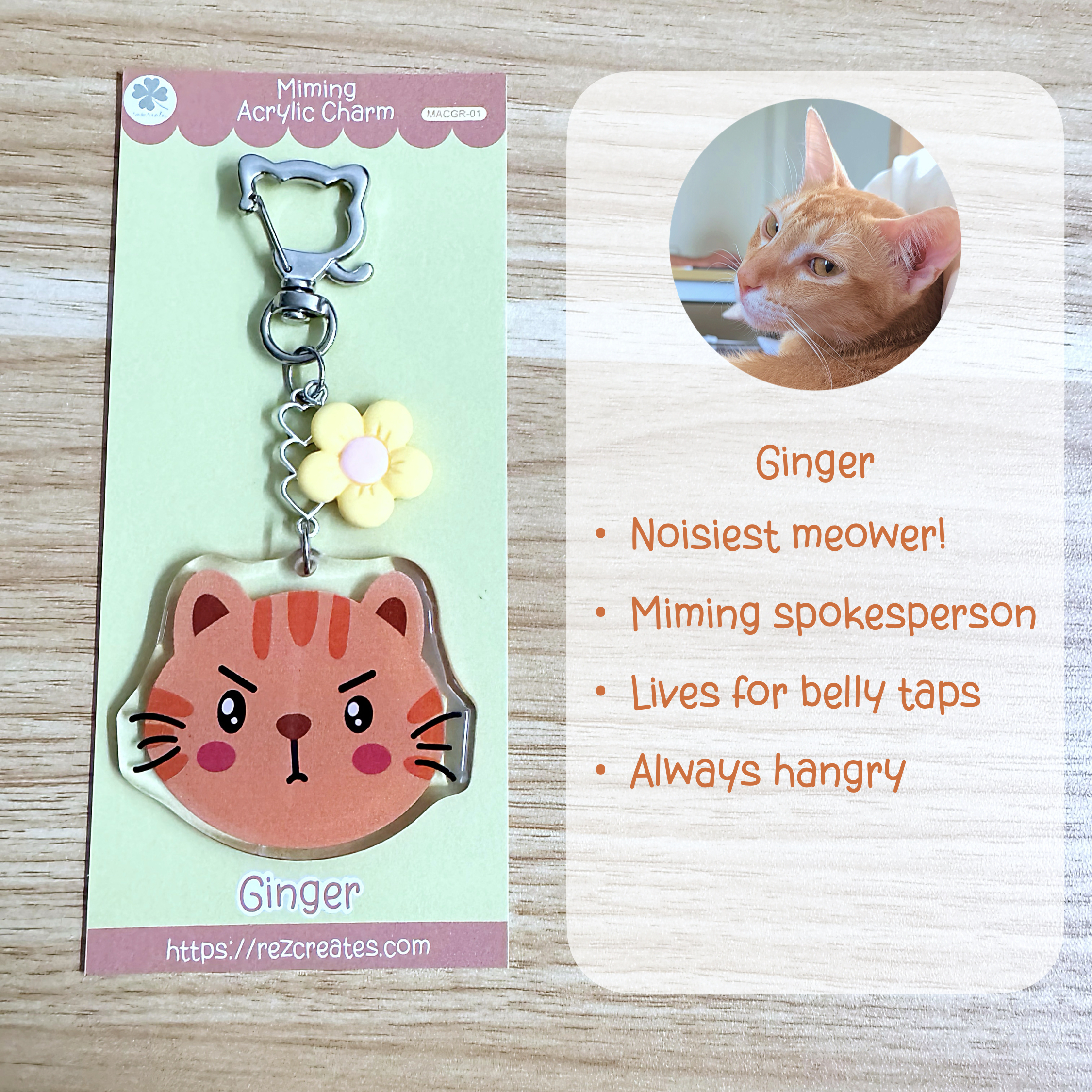 Miming Acrylic Charms