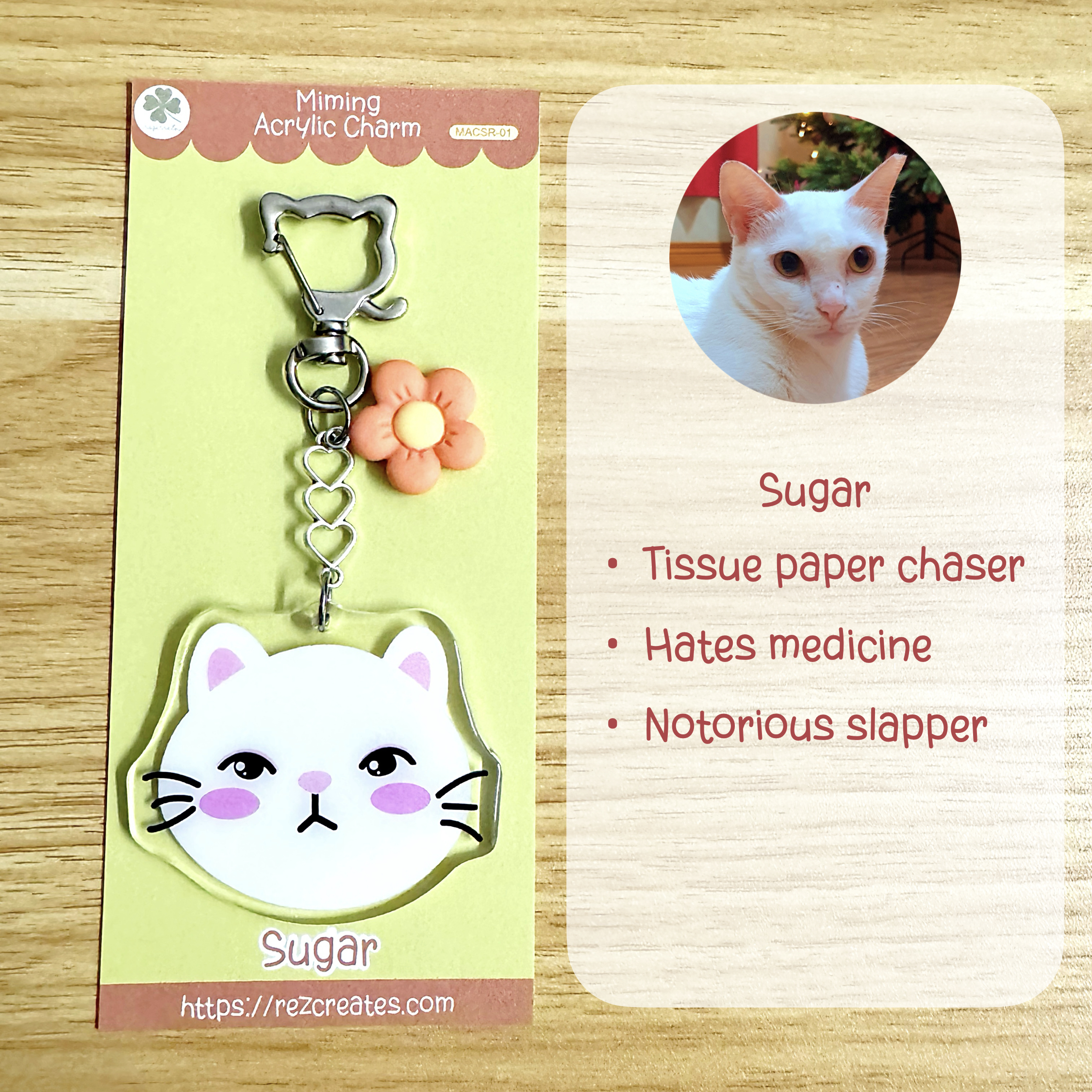 Miming Acrylic Charms