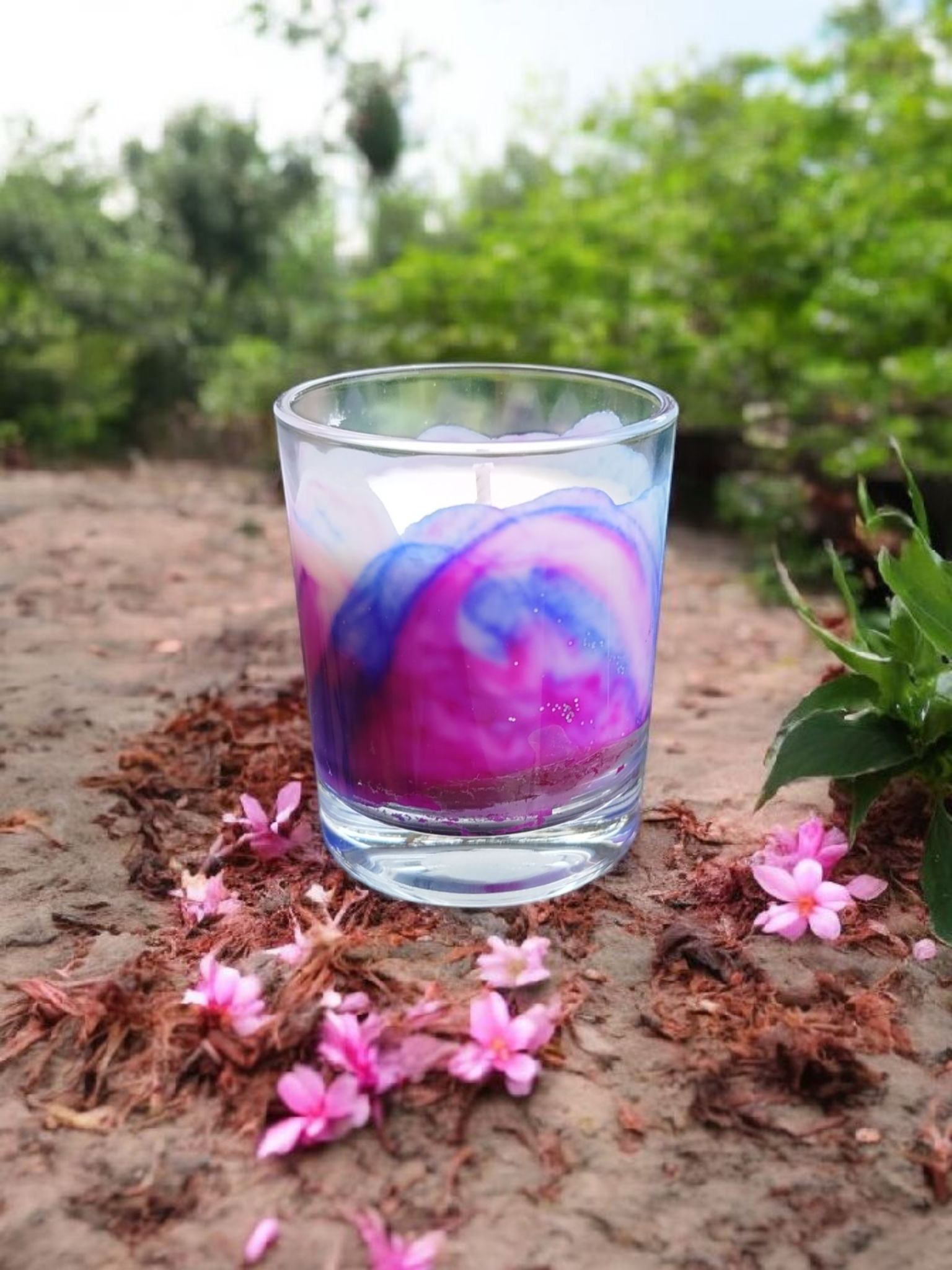 Jardin Secret (Premium)