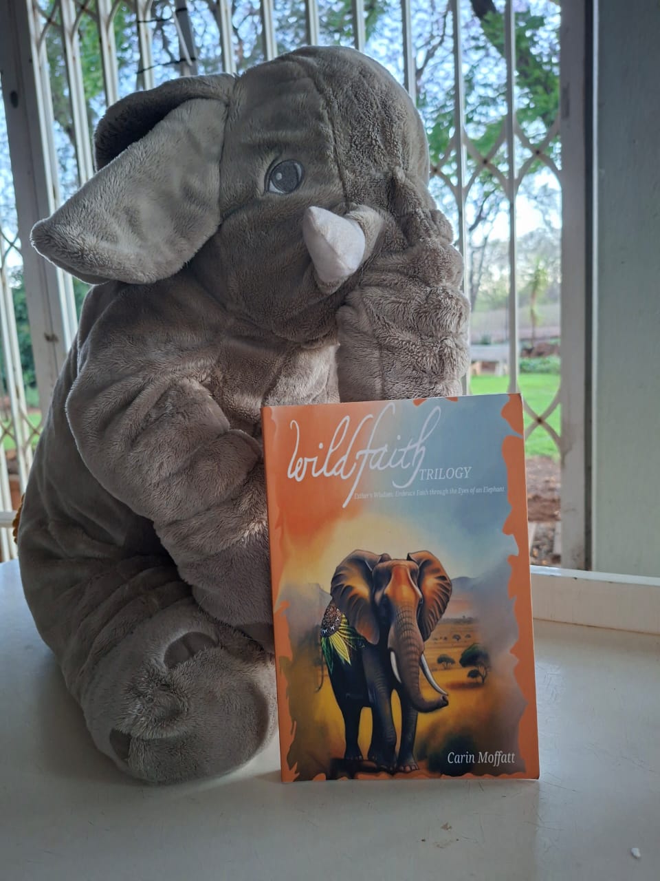 Wild Faith Trilogy