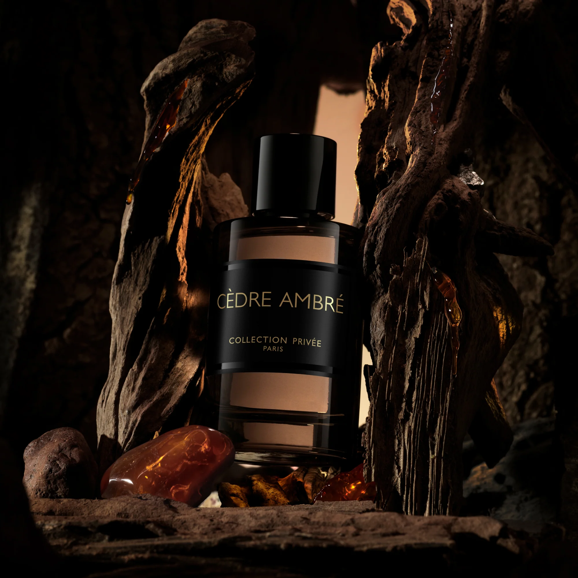 Cèdre Ambré Perfume