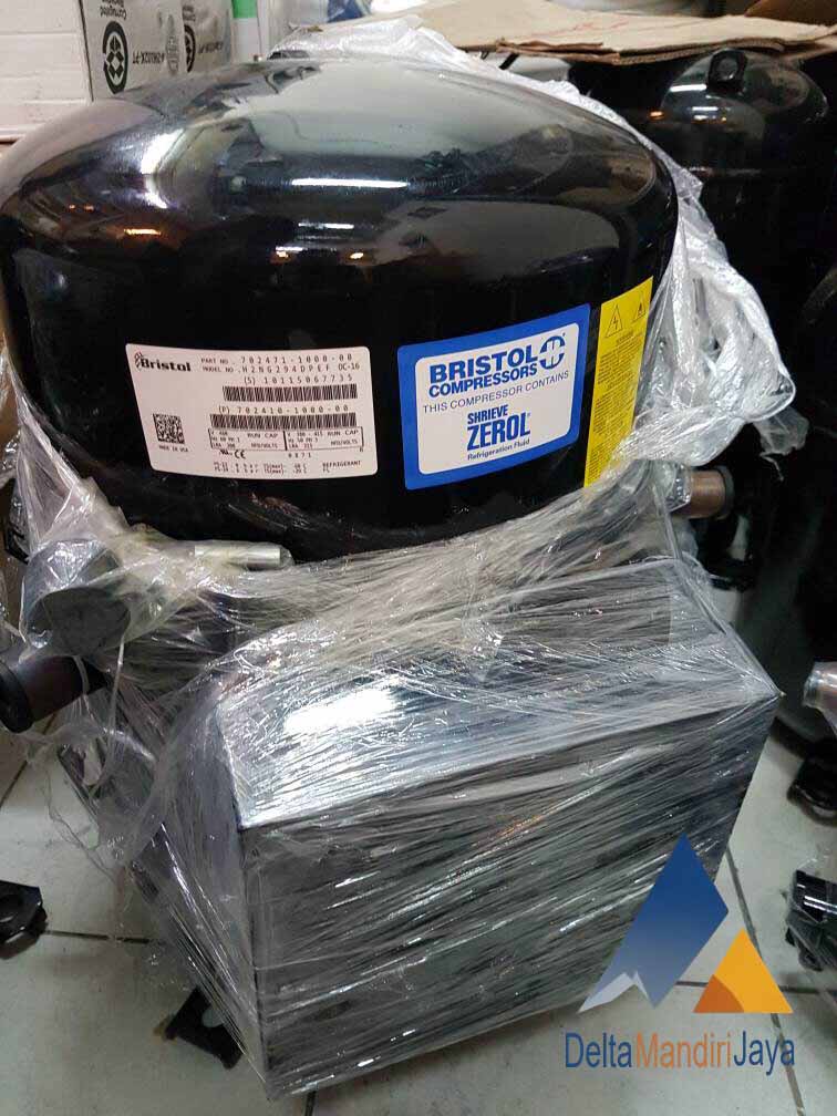 Kompressor AC Bristol H2NG244DREF