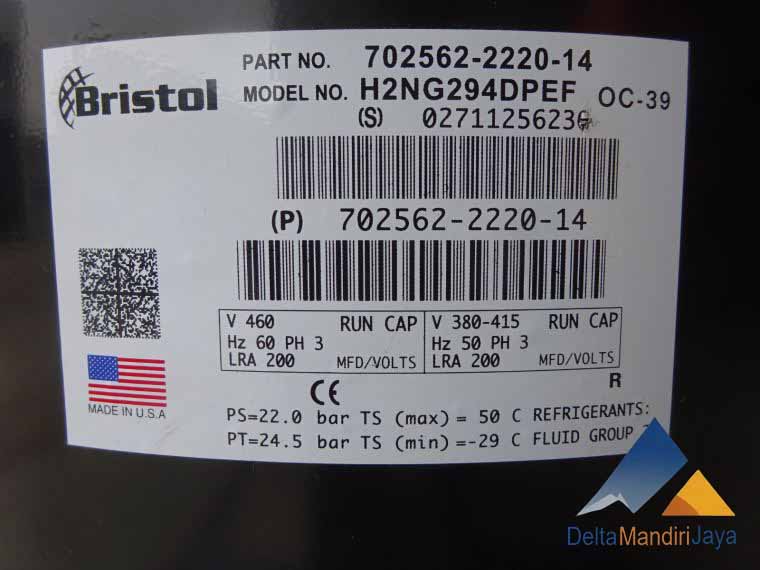 Kompresor Bristol H2NG294DPEF