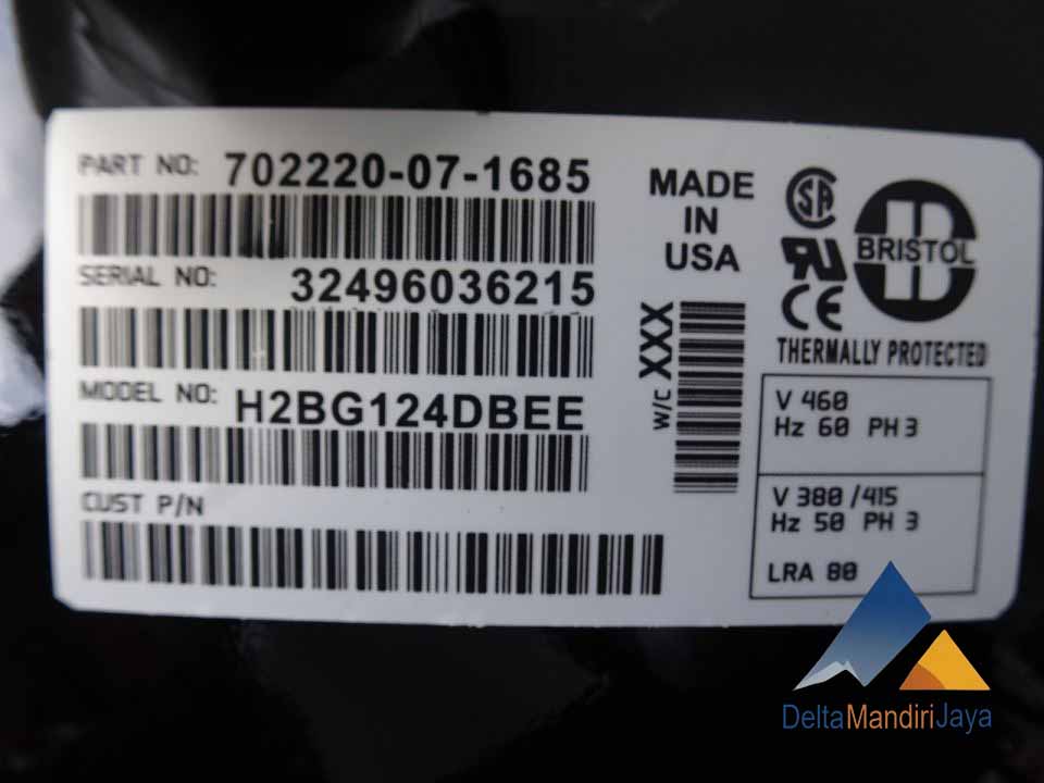 Kompresor Bristol H2BG124DBEE