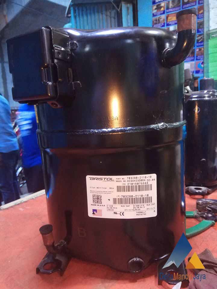 Kompresor Bristol H23A423DBEA