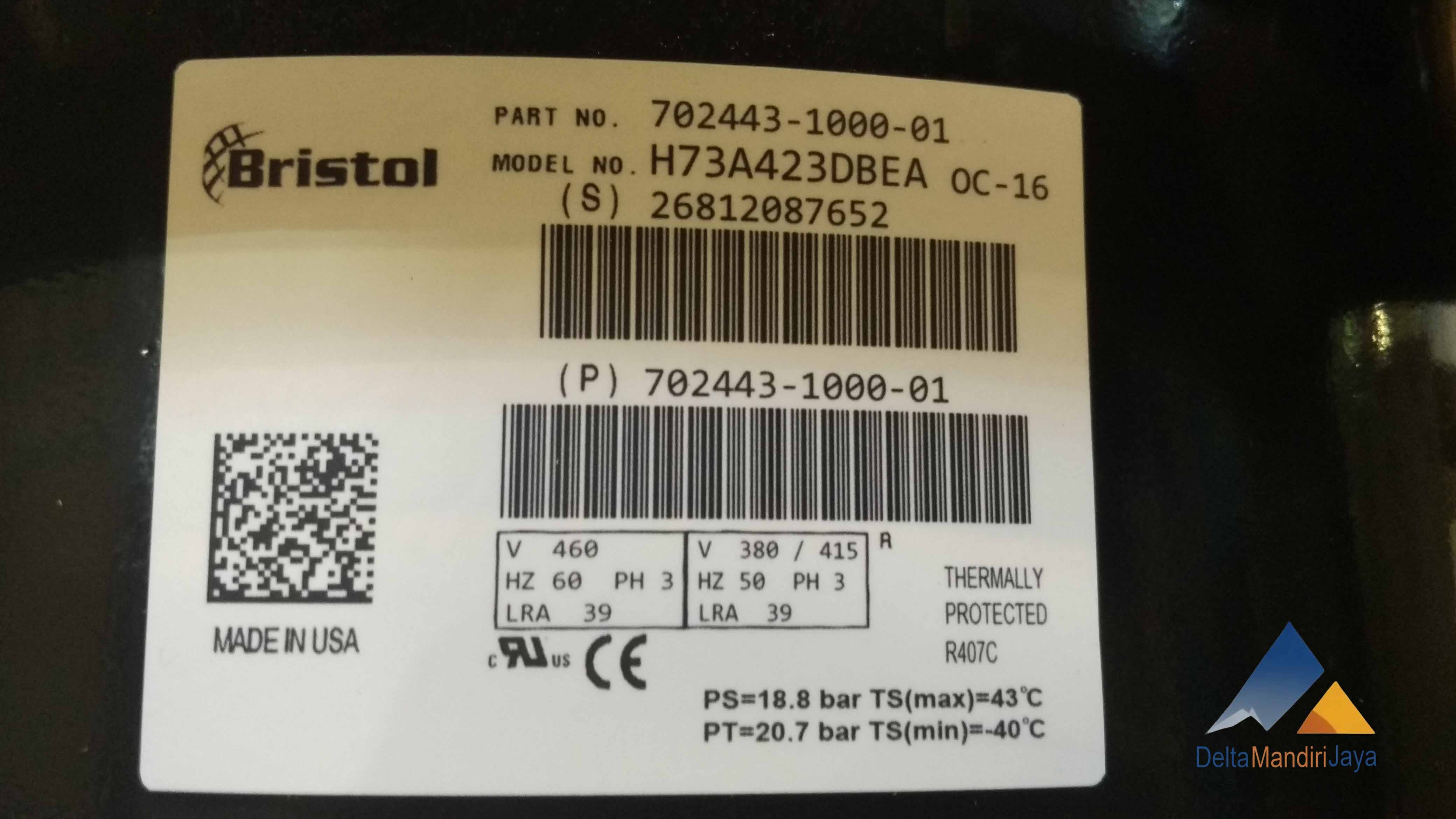 Kompresor Bristol H73A423DBEA