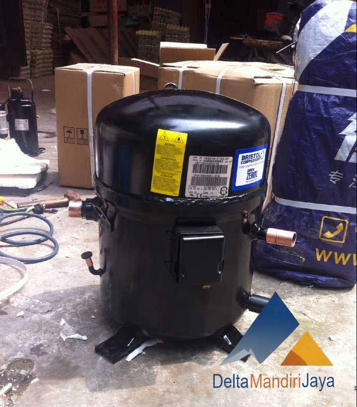 Kompresor Bristol H2BG124DBEE