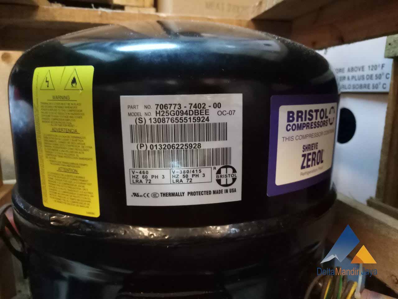 Kompresor Bristol H25G094DBEE