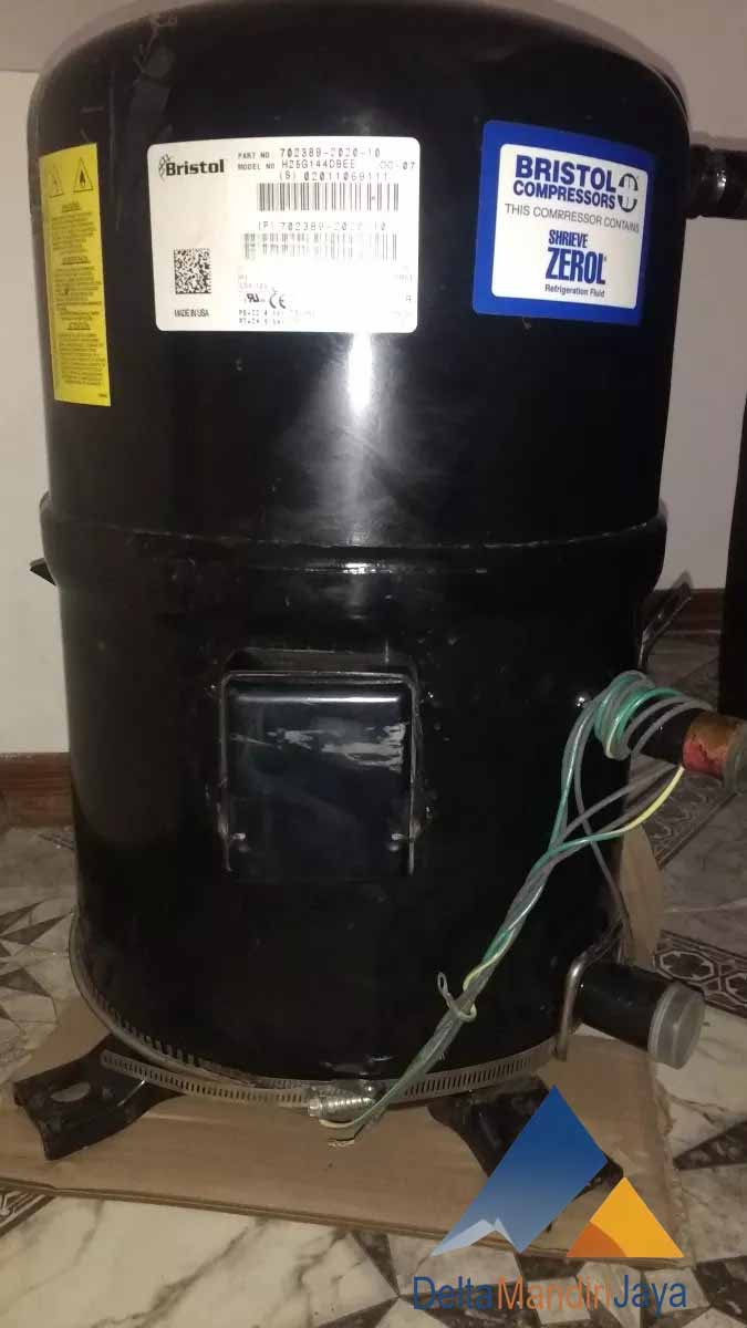 Kompresor Bristol H25G144DBEE