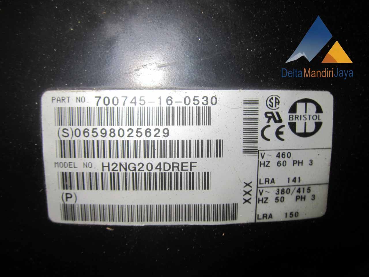 Kompresor Bristol H2NG204DREF