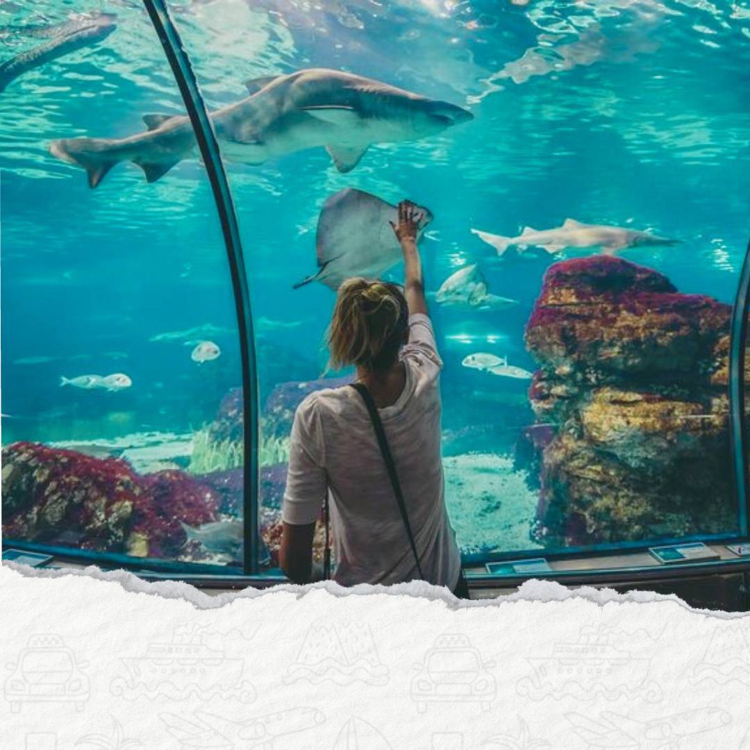 WIZYTA W GRAND AKWARIUM W HURGHADZIE