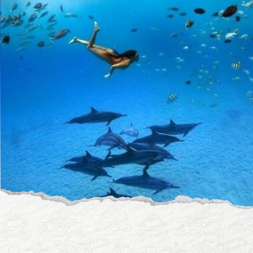 MORSKA WYCIECZKA “RAFA SATAYA” LUB REZERWATU „RAFA DELFINÓW” Z MARSA ALAM