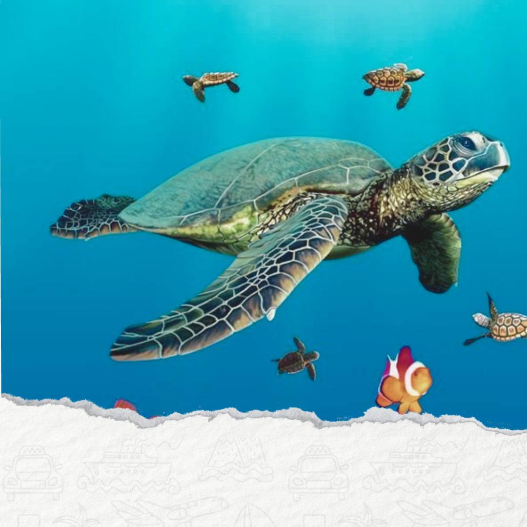 WYCIECZKA DO ABU DABAB Z HURGHADY