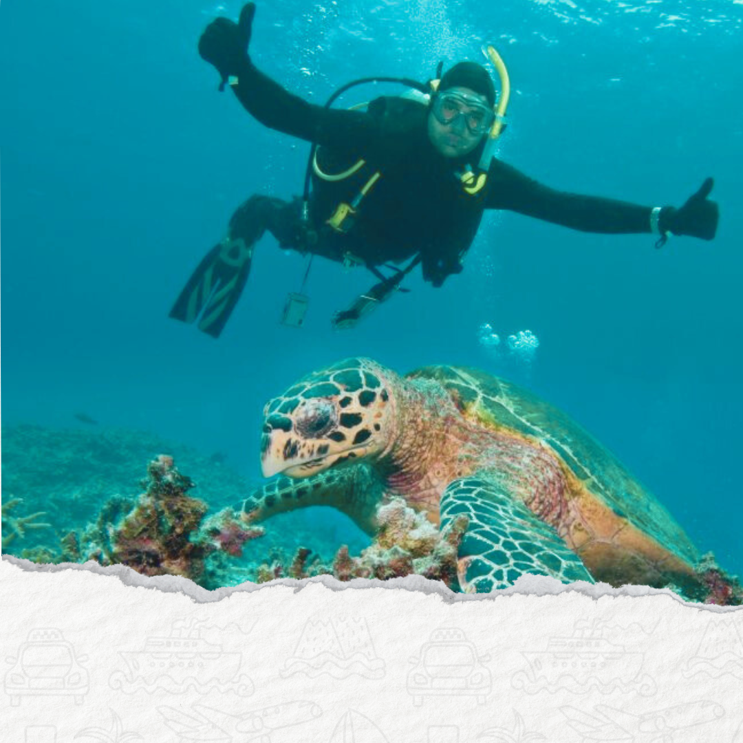 MORSKA WYCIECZKA “ZATOKA MARSA MUBARAK” ZE NURKOWANIEM Z MARSA ALAM