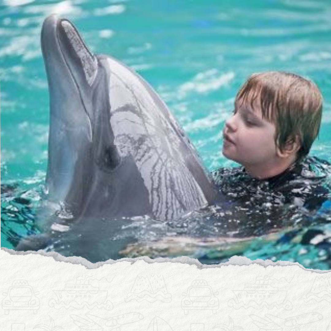 DELFINARIUM – PŁYWANIE Z DELFINAMI (15 lub 30 MINUT) W SHARM EL SHEIKH