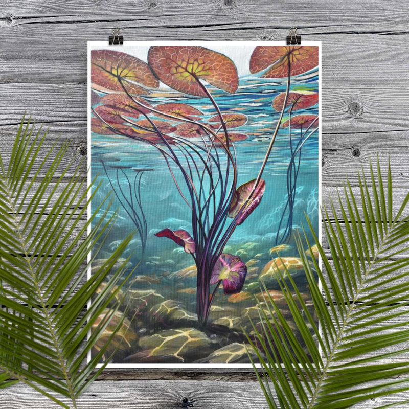 Under Water Lilies IV fine art print