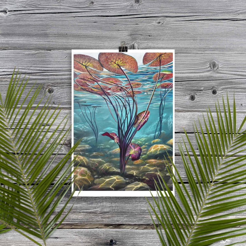 Under Water Lilies IV fine art print