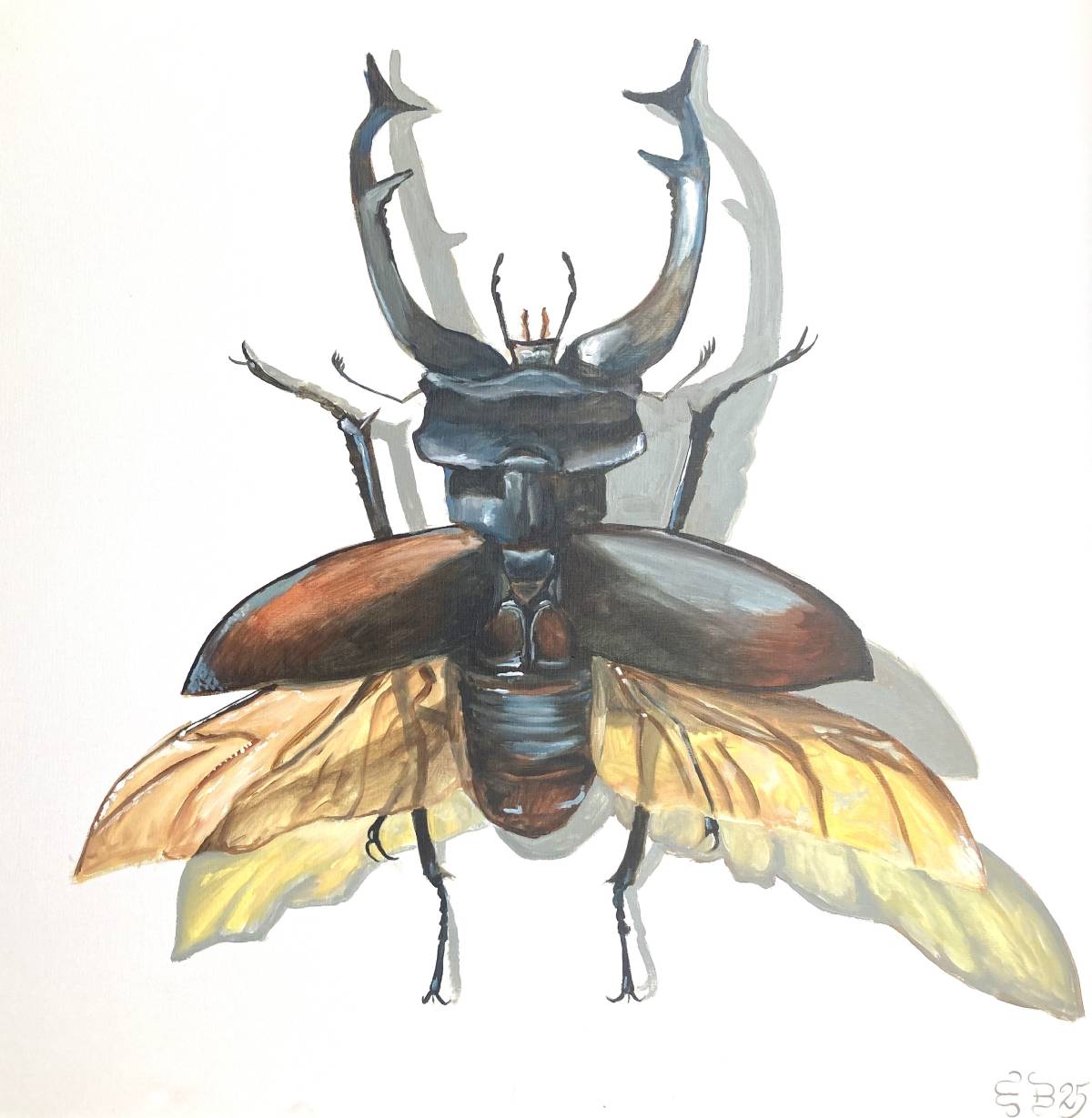 Stag Beetle